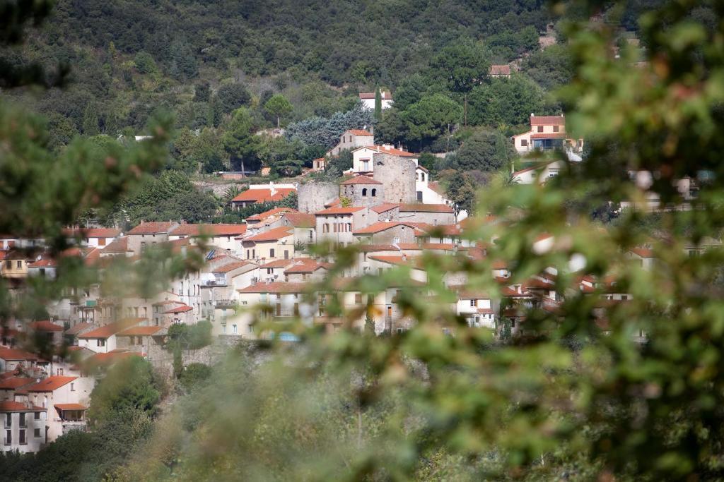 La Pinede Hotel Amélie-les-Bains-Palalda Værelse billede